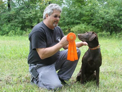 Hope labrador with ribbon - listening to Dad